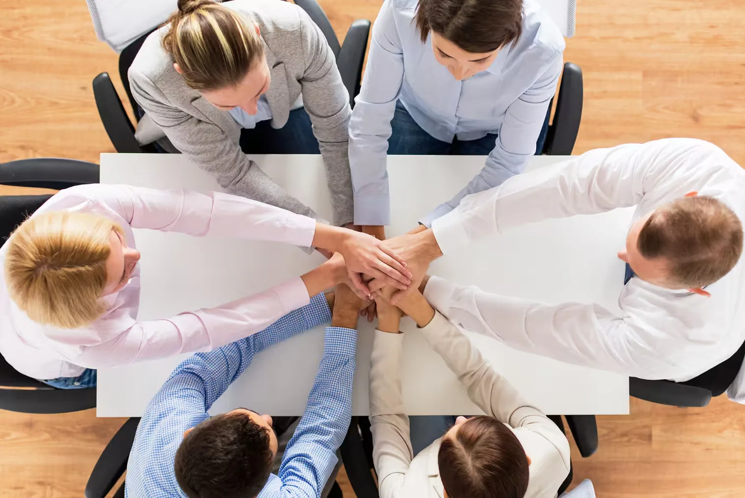 Multiply Your Impact Through Partnerships
